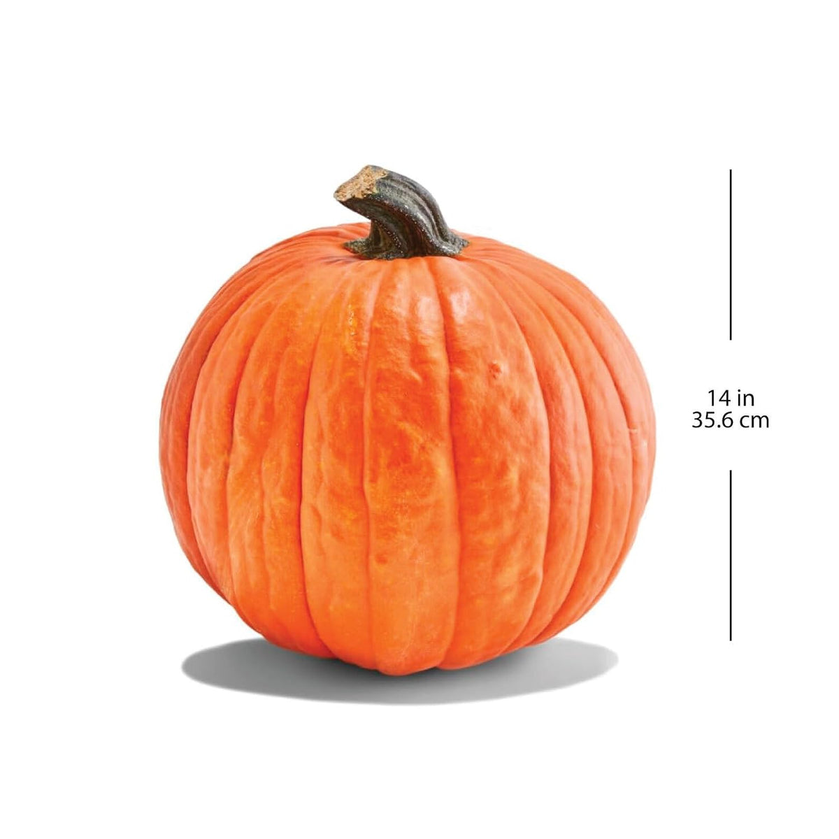 Carving Pumpkin
