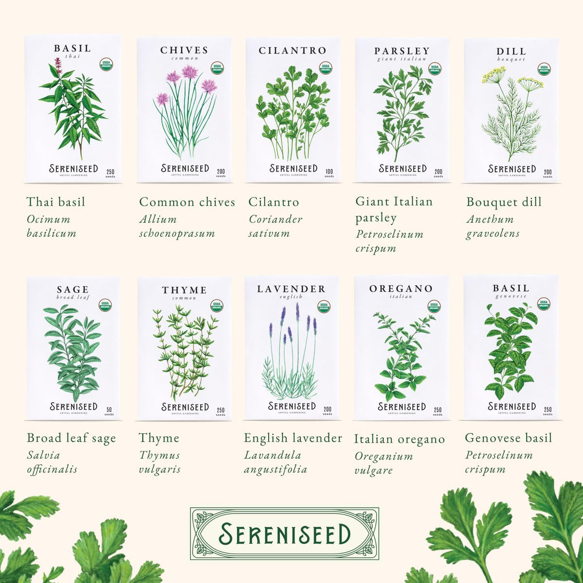 Sereniseed Certified Organic Herb Seeds 10-Pack, Culinary Garden Kit
