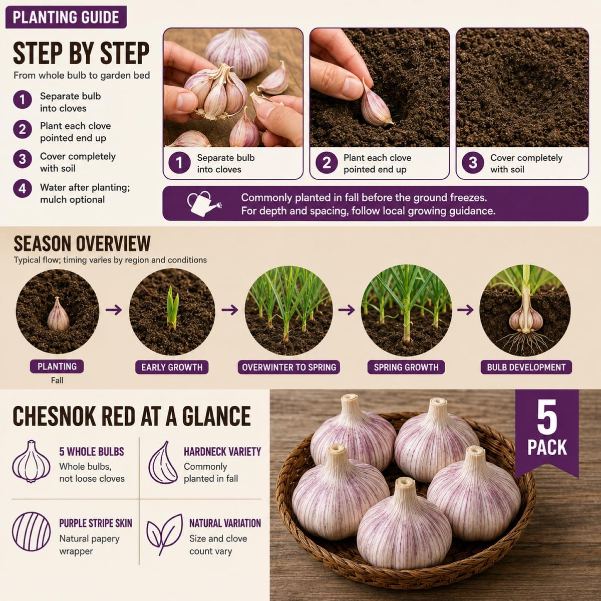 5 Pack Chesnok Red Garlic Bulbs for Planting Large Hardneck Garlic Cloves Garlic Seeds for Planting Cold Climate Ready Garlic Bulbs for Planting Home Garden Raised Beds Fall or Spring