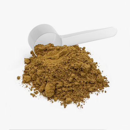 TrustFinds® Mushroom Fuse Instant Coffee (Medium Roast)