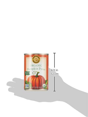 Farmers Market Foods Pumpkin Org 15 OZ