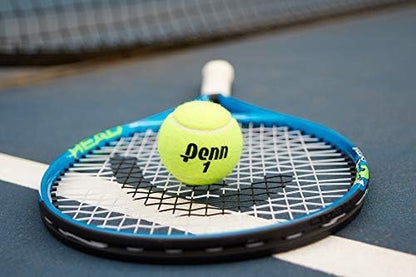 Penn Championship Tennis Balls - Extra Duty