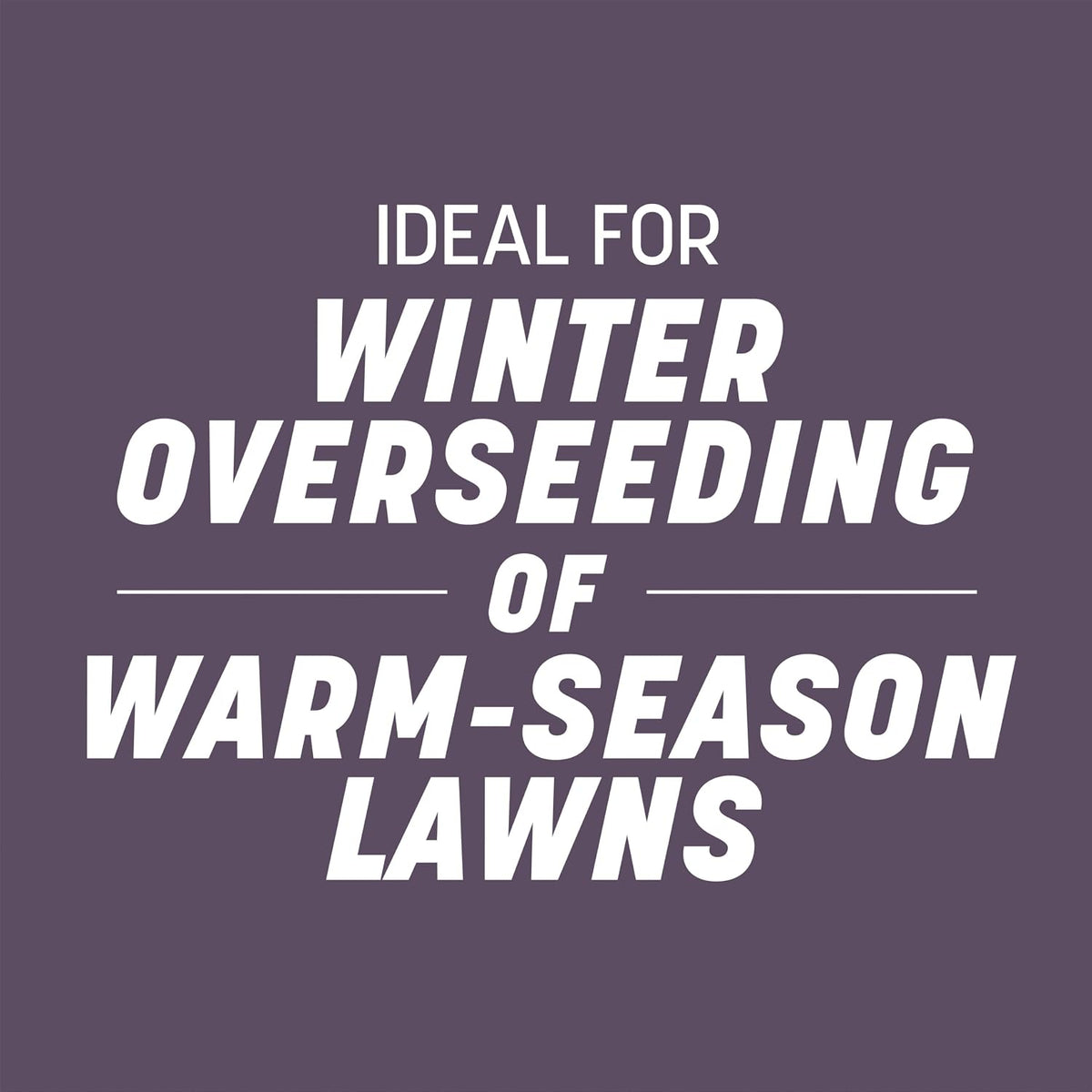 Pennington Annual Ryegrass, Grass Seeds for Lawn, 10 Lb