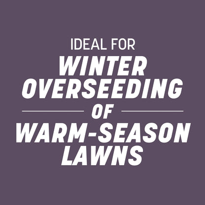 Pennington Annual Ryegrass, Grass Seeds for Lawn, 10 Lb