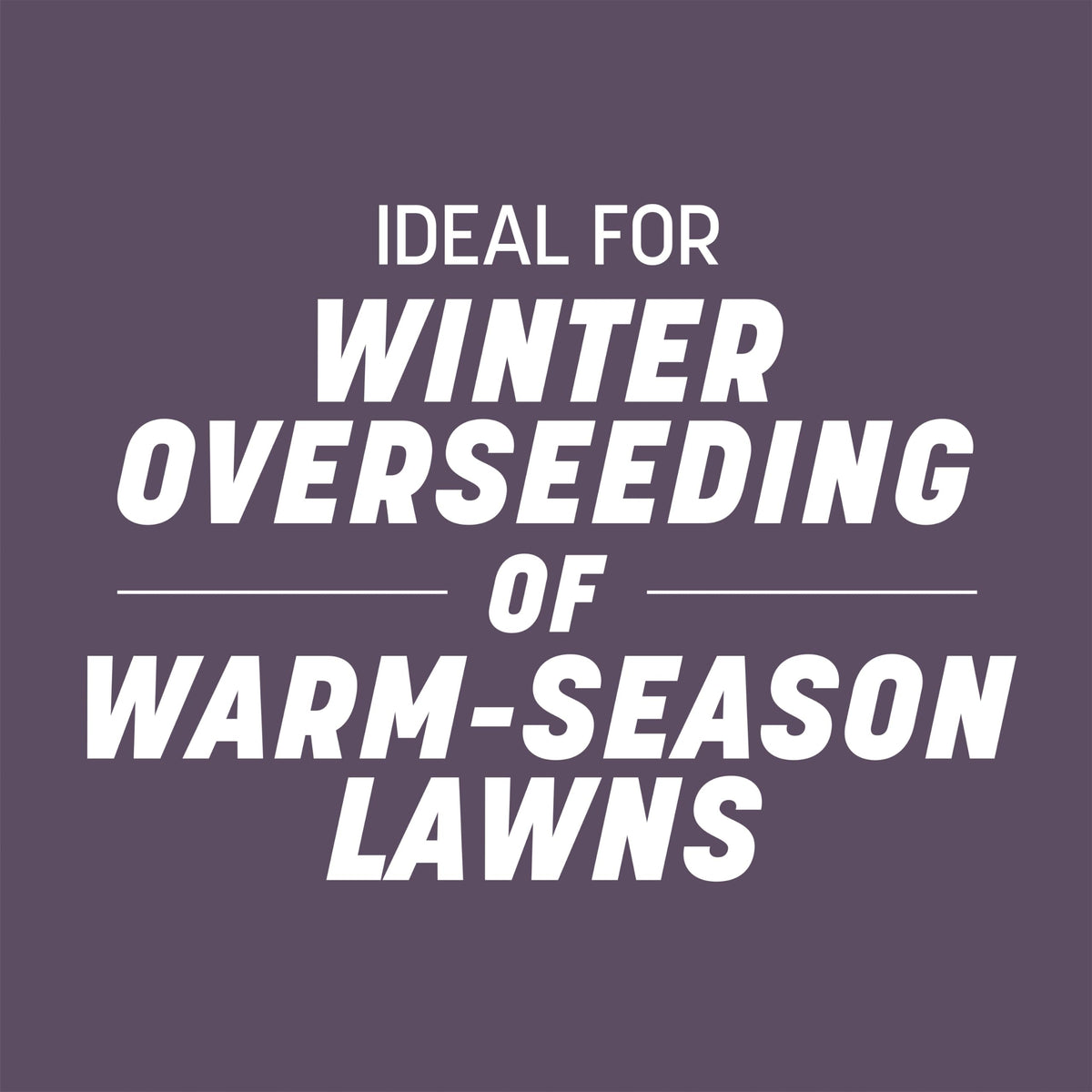 Pennington Annual Ryegrass, Grass Seeds for Lawn, 10 Lb