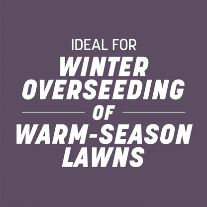 Pennington Annual Ryegrass, Grass Seeds for Lawn, 10 Lb