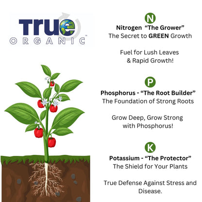 True Organic Blood Meal – High-Nitrogen Organic Fertilizer for Rapid Vegetative Growth – 3lb Bag Covers 104 Sq. Ft.