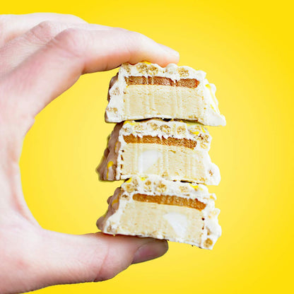 FITCRUNCH Snack Size Protein Bars, 6-Layer Baked Bar, 3g of Sugar, Gluten Free & Soft Cake Core (9 Count, Flavor Lovers)