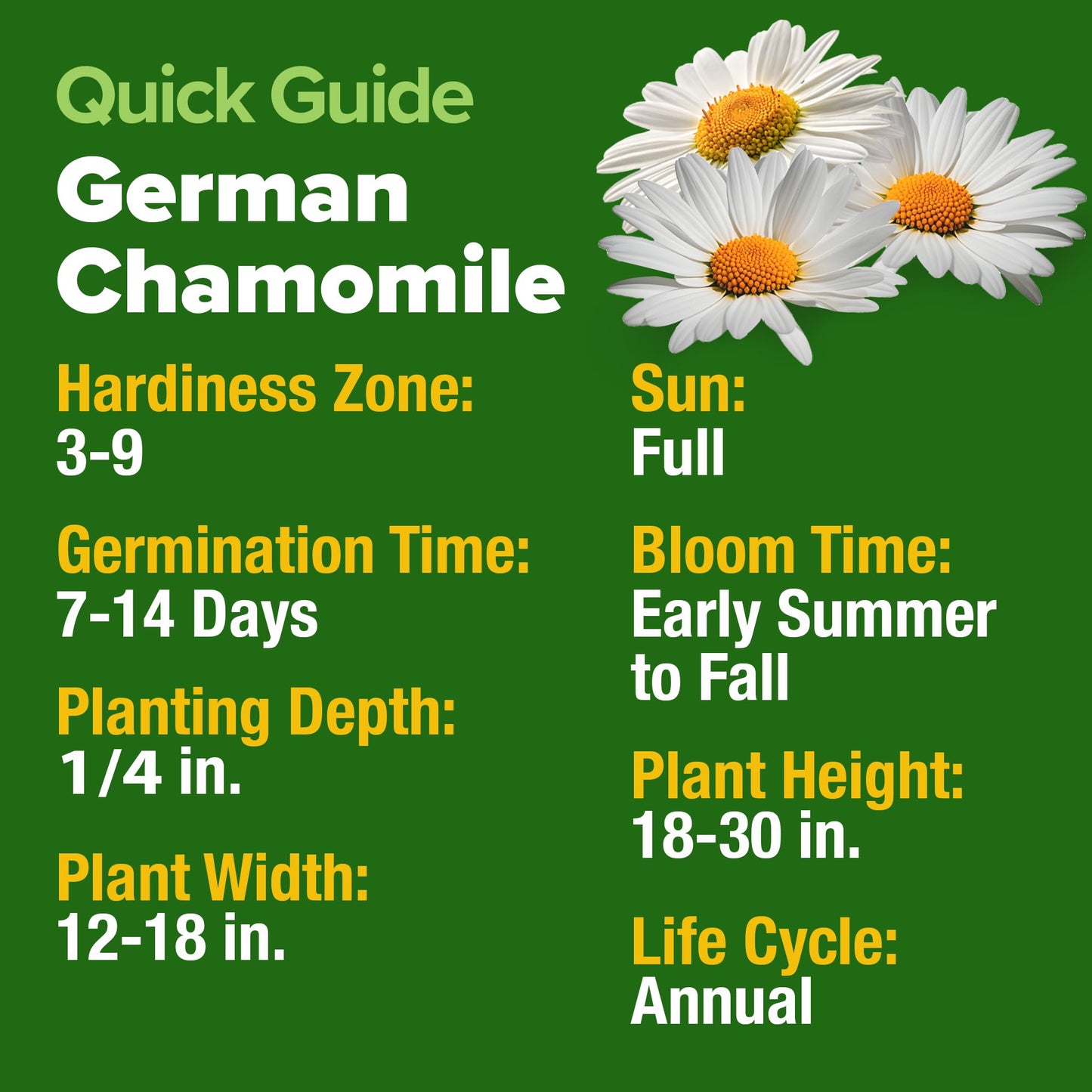HOME GROWN 𝗨𝗦𝗔 𝗣𝗥𝗘𝗠𝗜𝗨𝗠 Zinnia Dahlia Seeds Pack for 2025 – 524 𝗡𝗢𝗡-𝗚𝗠𝗢 Flower Seeds | Vibrant Zinnia Elegans for Pollinator Gardens, Borders & Containers | Easy-to-Grow Outdoor Blooms