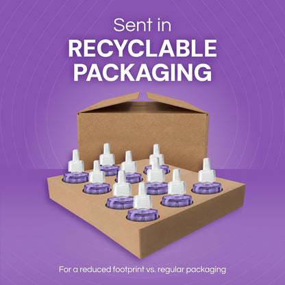 Air Wick Plug In Refills, Lavender & Chamomile, Essential Oils,10 count