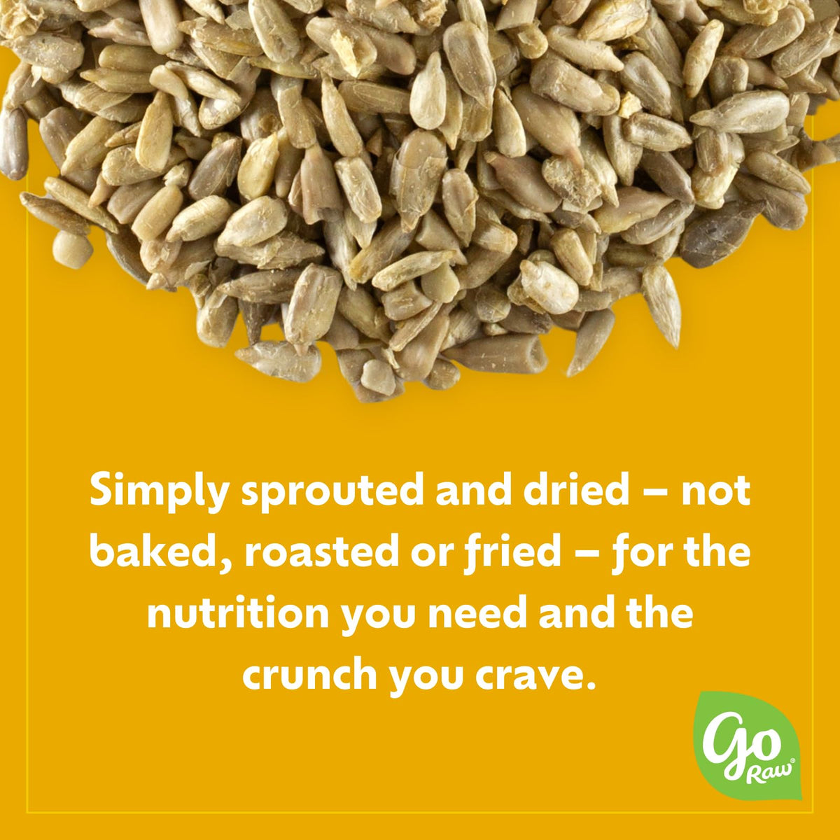 Go Raw Organic Sprouted Pumpkin Seeds - Sea Salted Pepita Snack