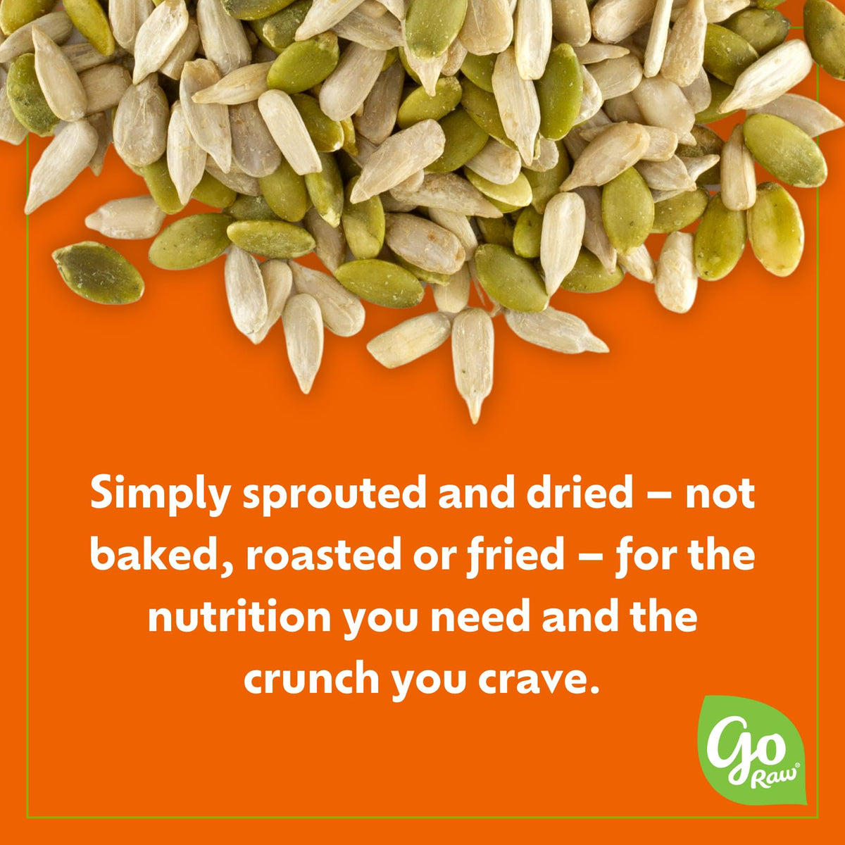 Go Raw Organic Sprouted Pumpkin Seeds - Sea Salted Pepita Snack