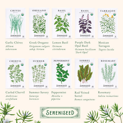 Sereniseed Certified Organic Herb Seeds 10-Pack, Culinary Garden Kit