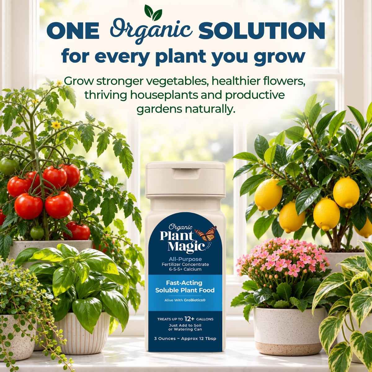 Organic Plant Magic Fertilizer & Plant Food for House Plants & Garden 1/2lb