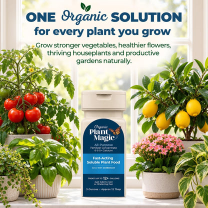 Organic Plant Magic Fertilizer & Plant Food for House Plants & Garden 1/2lb
