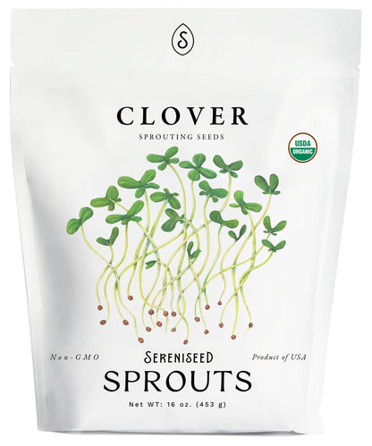 Organic Broccoli Sprout Seeds (8 oz) – Non-GMO, Heirloom Seeds for Sprouting and Microgreens