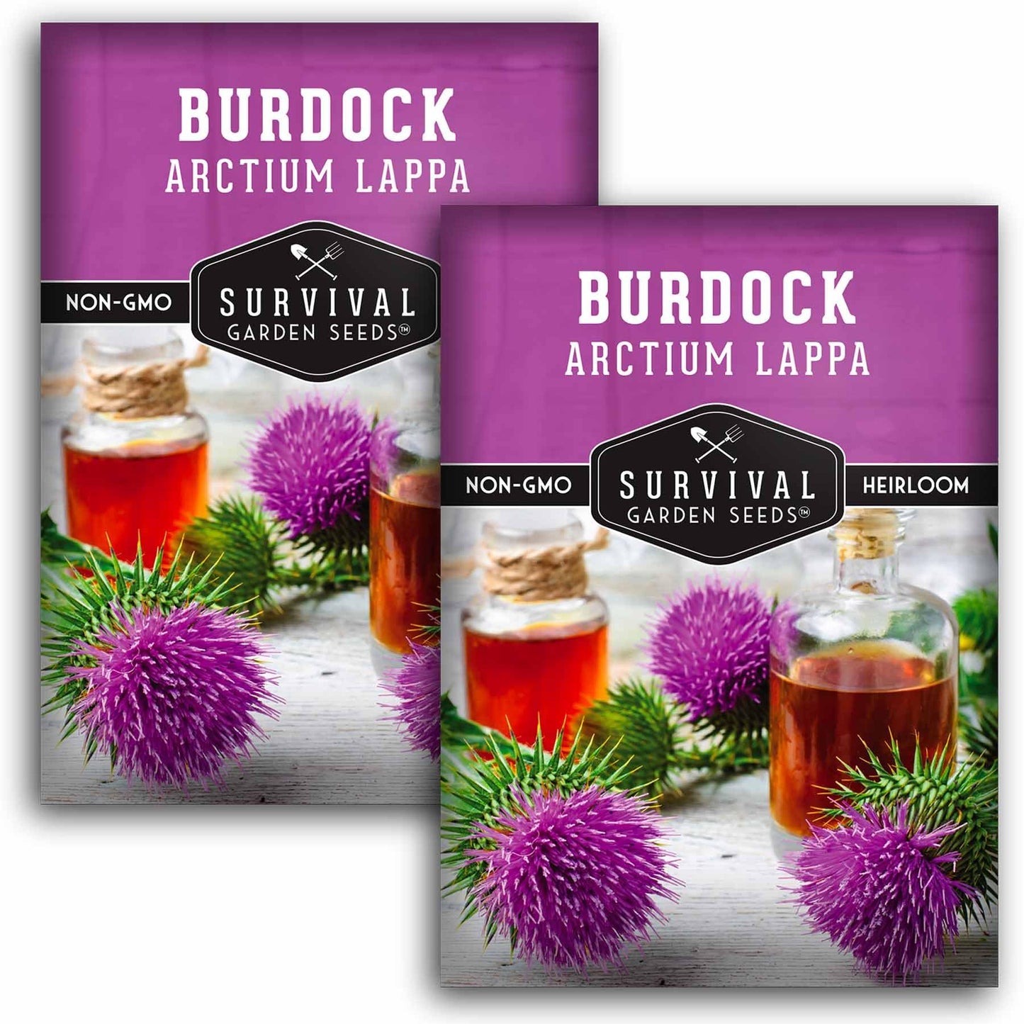 Burdock Root Seeds for Planting – Grow GOBO (Arctium lappa) Heirloom Root Vegetable – Non-GMO Medicinal Herb for Home Gardens – Survival Garden Seeds (1 Pack)