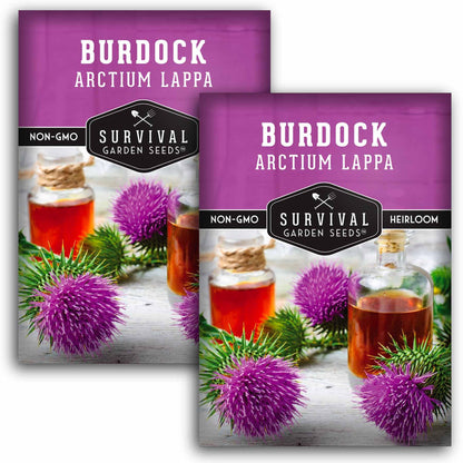 Burdock Root Seeds for Planting – Grow GOBO (Arctium lappa) Heirloom Root Vegetable – Non-GMO Medicinal Herb for Home Gardens – Survival Garden Seeds (1 Pack)
