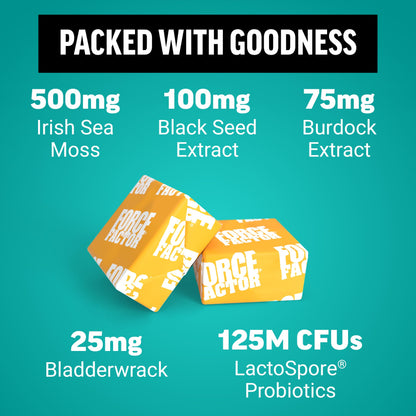 Force Factor Superior Sea Moss Gut Health + Skin Support, Support Gut Health & Healthy Skin, Hair & Nails, Boost Energy & Immune Health, with Biotin & LactoSpore Probiotics, S’Mores, 60 Soft Chews