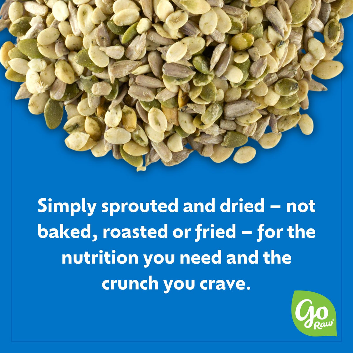 Go Raw Organic Sprouted Pumpkin Seeds - Sea Salted Pepita Snack