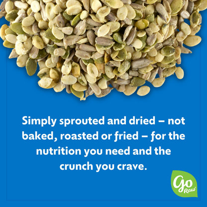 Go Raw Organic Sprouted Pumpkin Seeds - Sea Salted Pepita Snack