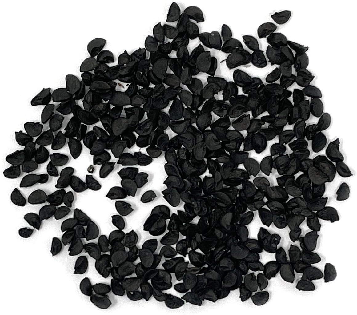 Organic Onion Seeds (Bunching Evergreen) - Approx 200 Seeds - USDA Organic, Non-GMO, Open Pollinated, Heirloom, USA Origin