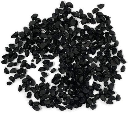 Organic Onion Seeds (Bunching Evergreen) - Approx 200 Seeds - USDA Organic, Non-GMO, Open Pollinated, Heirloom, USA Origin