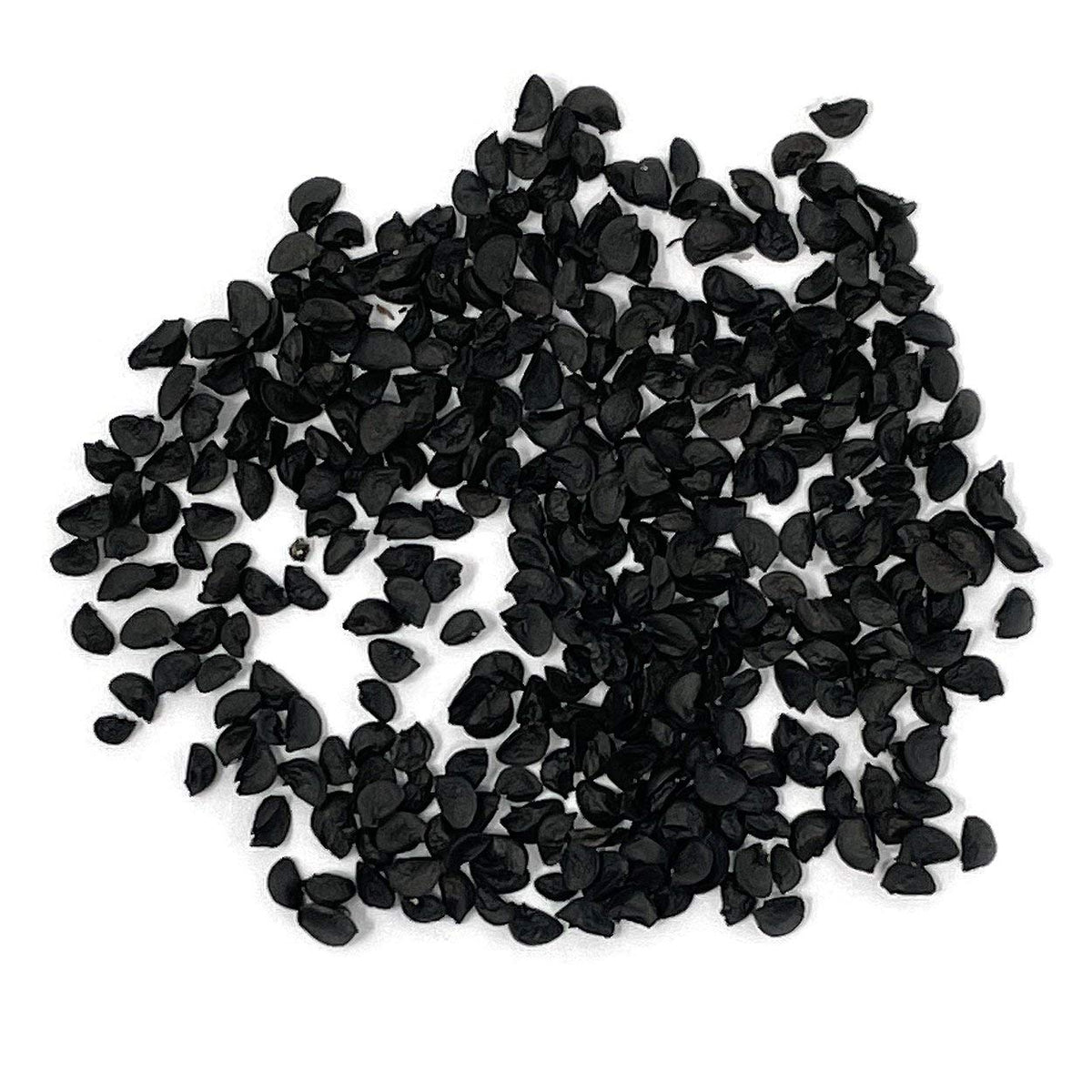 Organic Onion Seeds (Bunching Evergreen) - Approx 200 Seeds - USDA Organic, Non-GMO, Open Pollinated, Heirloom, USA Origin