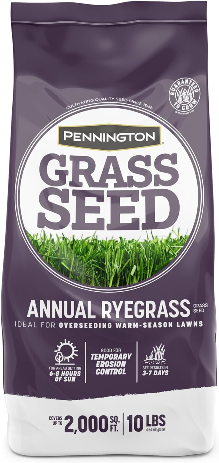 Pennington Annual Ryegrass, Grass Seeds for Lawn, 10 Lb