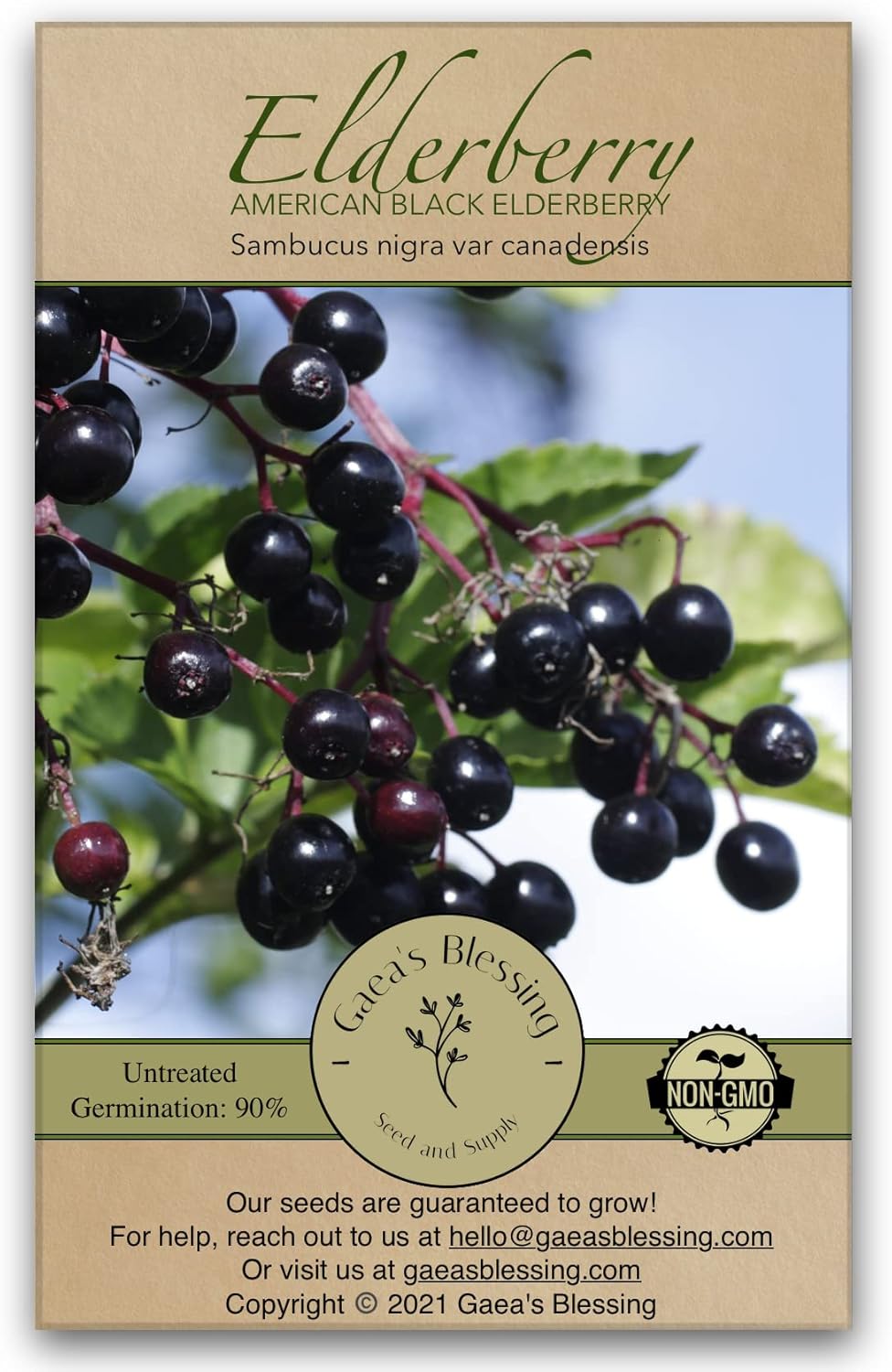 Gaea's Blessing Seeds - Elderberry Seeds - American Black Elderberry Heirloom - Non-GMO Seeds with Easy to Follow Planting Instructions - 90% Germination Rate