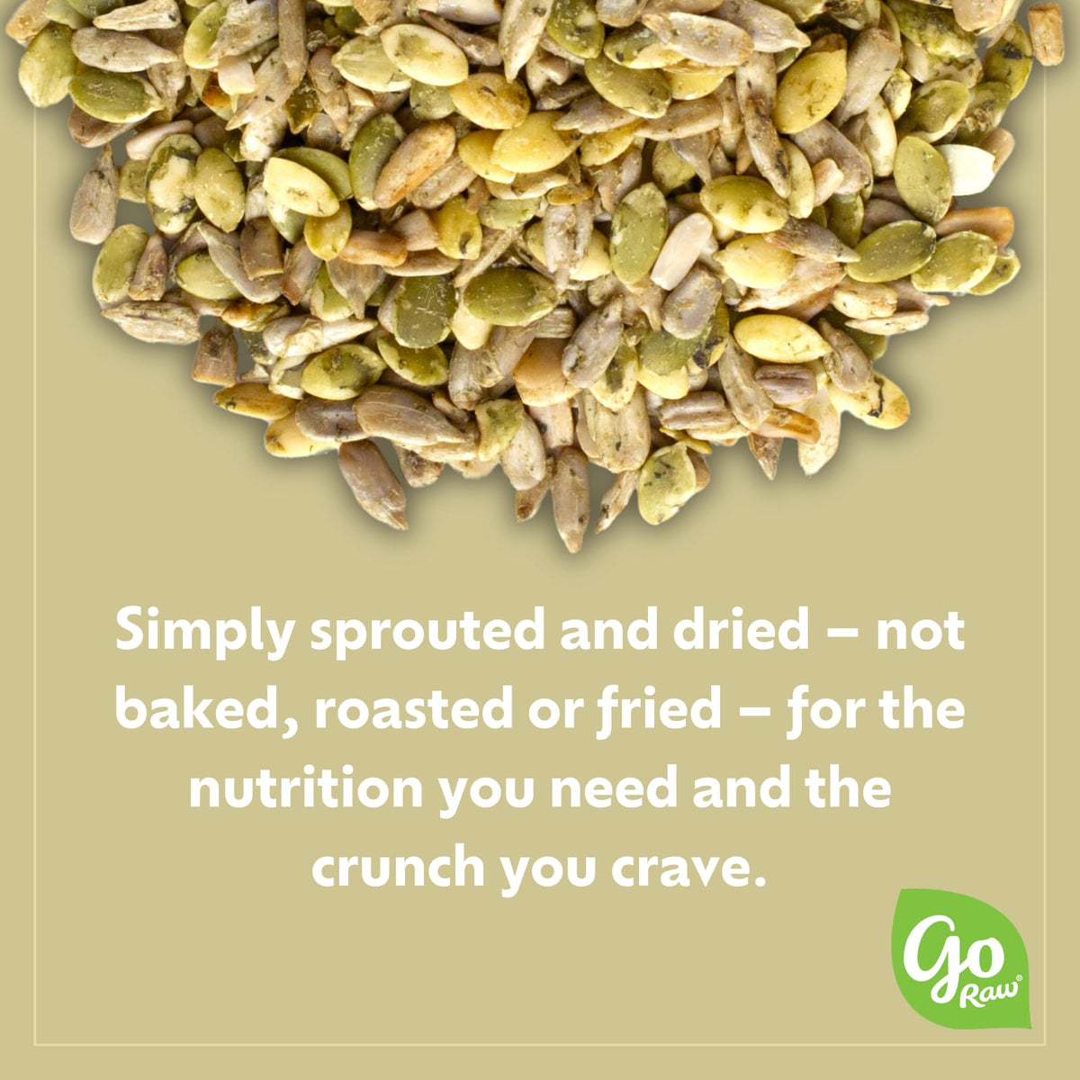 Go Raw Organic Sprouted Pumpkin Seeds - Sea Salted Pepita Snack
