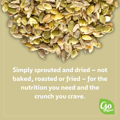 Go Raw Organic Sprouted Pumpkin Seeds - Sea Salted Pepita Snack