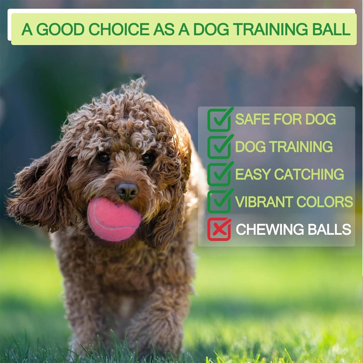 INSUM Tennis Balls, Extra Duty Practice Tennis Balls with Mesh Bag