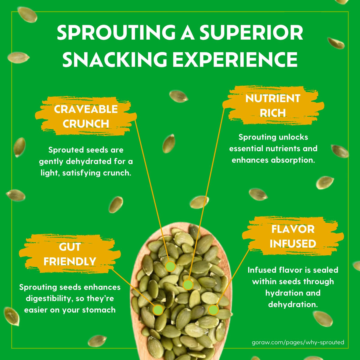 Go Raw Organic Sprouted Pumpkin Seeds - Sea Salted Pepita Snack