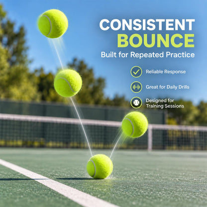 INSUM Tennis Balls, Extra Duty Practice Tennis Balls with Mesh Bag
