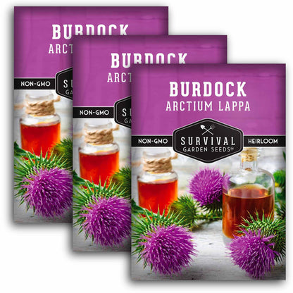 Burdock Root Seeds for Planting – Grow GOBO (Arctium lappa) Heirloom Root Vegetable – Non-GMO Medicinal Herb for Home Gardens – Survival Garden Seeds (1 Pack)