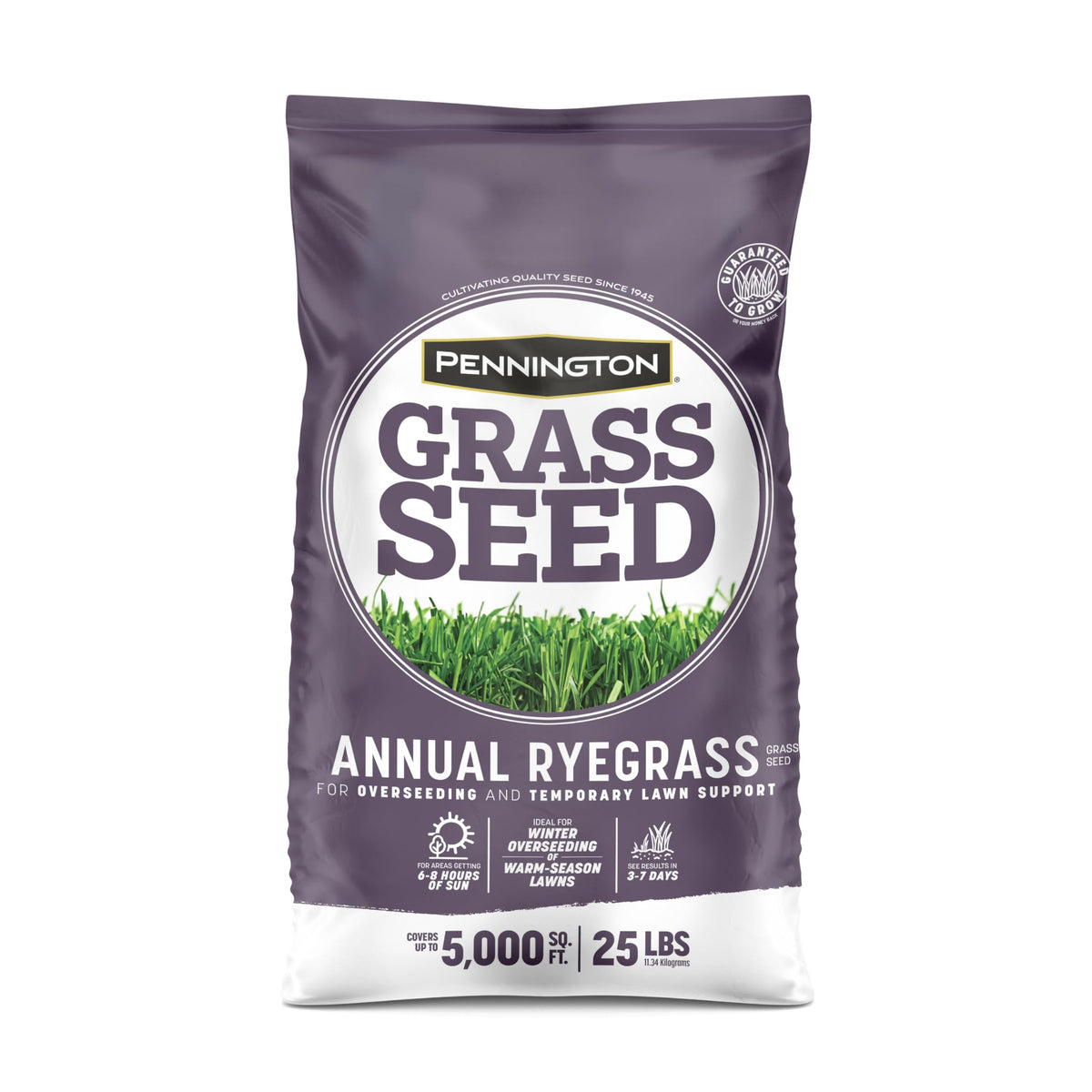 Pennington Annual Ryegrass, Grass Seeds for Lawn, 10 Lb