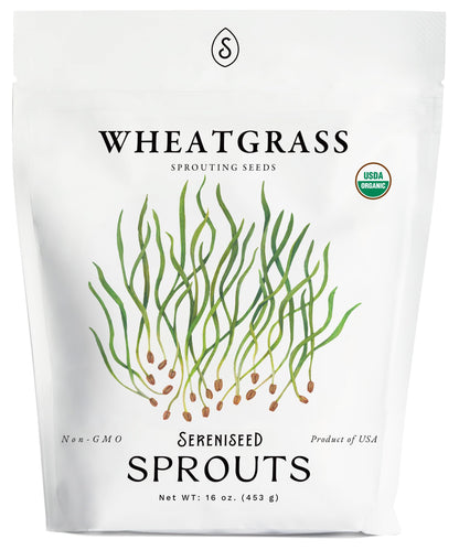 Organic Broccoli Sprout Seeds (8 oz) – Non-GMO, Heirloom Seeds for Sprouting and Microgreens