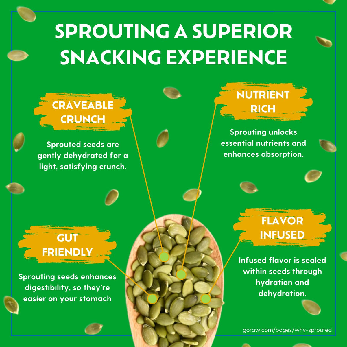 Go Raw Organic Sprouted Pumpkin Seeds - Sea Salted Pepita Snack