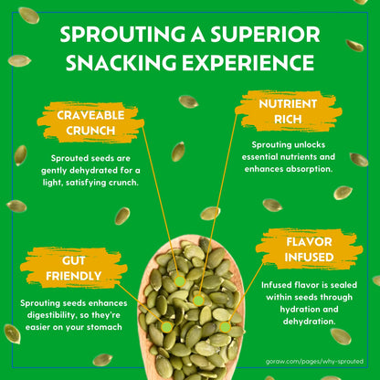 Go Raw Organic Sprouted Pumpkin Seeds - Sea Salted Pepita Snack