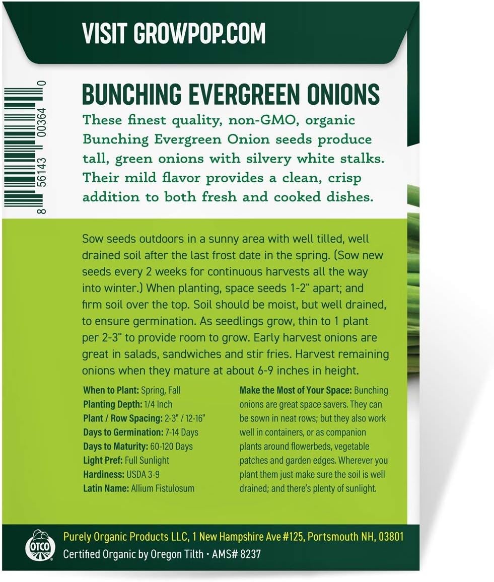 Organic Onion Seeds (Bunching Evergreen) - Approx 200 Seeds - USDA Organic, Non-GMO, Open Pollinated, Heirloom, USA Origin