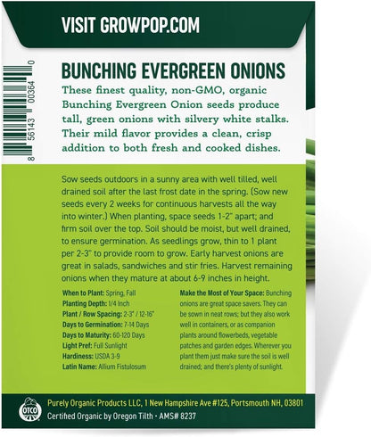 Organic Onion Seeds (Bunching Evergreen) - Approx 200 Seeds - USDA Organic, Non-GMO, Open Pollinated, Heirloom, USA Origin