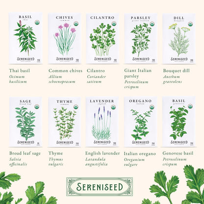 Sereniseed Certified Organic Herb Seeds 10-Pack, Culinary Garden Kit