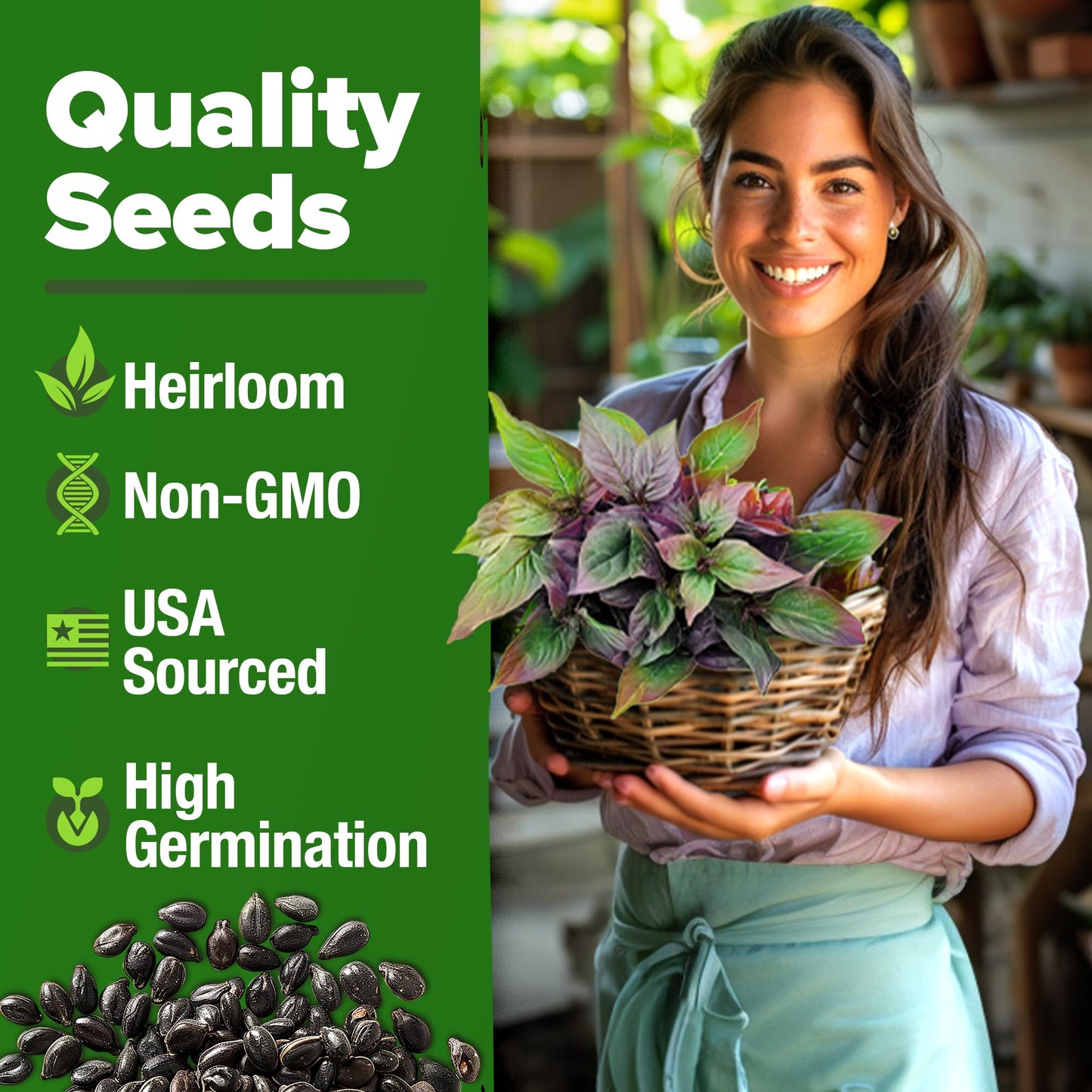 HOME GROWN 𝗨𝗦𝗔 𝗣𝗥𝗘𝗠𝗜𝗨𝗠 Peppermint Seeds Pack – 2,370 𝗡𝗢𝗡-𝗚𝗠𝗢 Heirloom Mint Seeds for Planting. Grow Peppermint Plants in Your Herb Garden Indoors or Outdoors (Mentha x piperita)