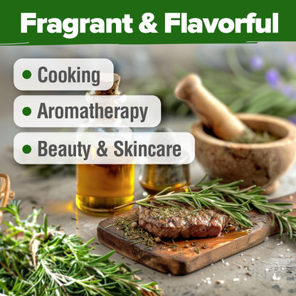 HOME GROWN 𝗨𝗦𝗔 𝗣𝗥𝗘𝗠𝗜𝗨𝗠 Peppermint Seeds Pack – 2,370 𝗡𝗢𝗡-𝗚𝗠𝗢 Heirloom Mint Seeds for Planting. Grow Peppermint Plants in Your Herb Garden Indoors or Outdoors (Mentha x piperita)