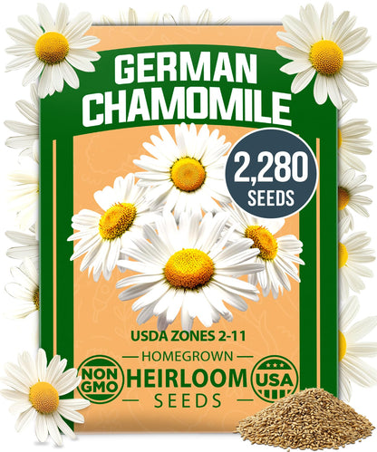 HOME GROWN 𝗨𝗦𝗔 𝗣𝗥𝗘𝗠𝗜𝗨𝗠 Zinnia Dahlia Seeds Pack for 2025 – 524 𝗡𝗢𝗡-𝗚𝗠𝗢 Flower Seeds | Vibrant Zinnia Elegans for Pollinator Gardens, Borders & Containers | Easy-to-Grow Outdoor Blooms