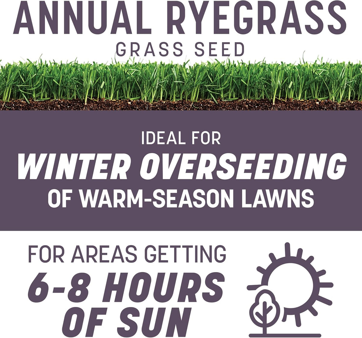 Pennington Annual Ryegrass, Grass Seeds for Lawn, 10 Lb