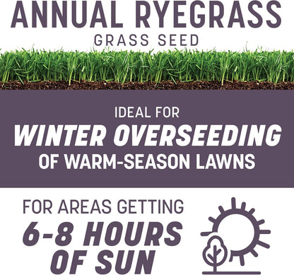 Pennington Annual Ryegrass, Grass Seeds for Lawn, 10 Lb
