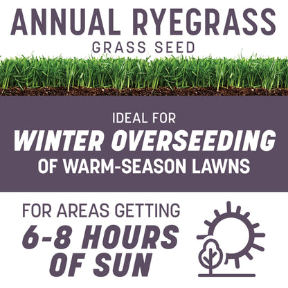 Pennington Annual Ryegrass, Grass Seeds for Lawn, 10 Lb