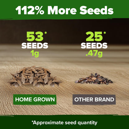HOME GROWN 𝗨𝗦𝗔 𝗣𝗥𝗘𝗠𝗜𝗨𝗠 Zinnia Dahlia Seeds Pack for 2025 – 524 𝗡𝗢𝗡-𝗚𝗠𝗢 Flower Seeds | Vibrant Zinnia Elegans for Pollinator Gardens, Borders & Containers | Easy-to-Grow Outdoor Blooms